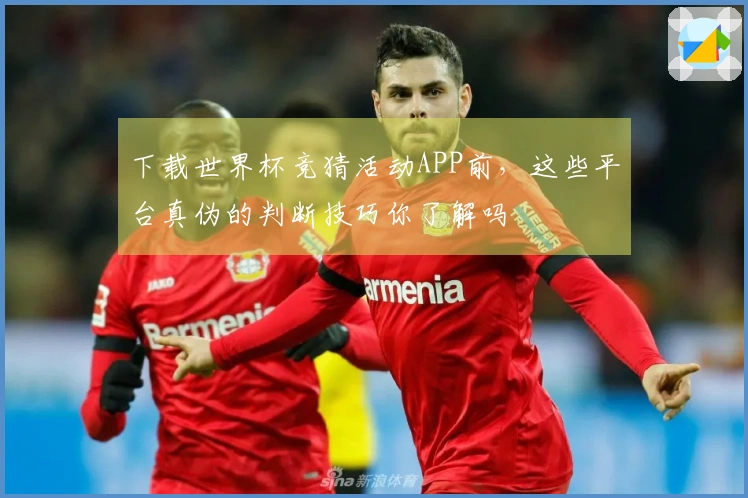 下载世界杯竞猜活动APP前，这些平台真伪的判断技巧你了解吗