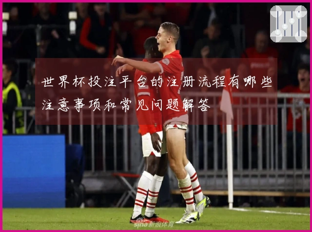 世界杯投注平台的注册流程有哪些注意事项和常见问题解答