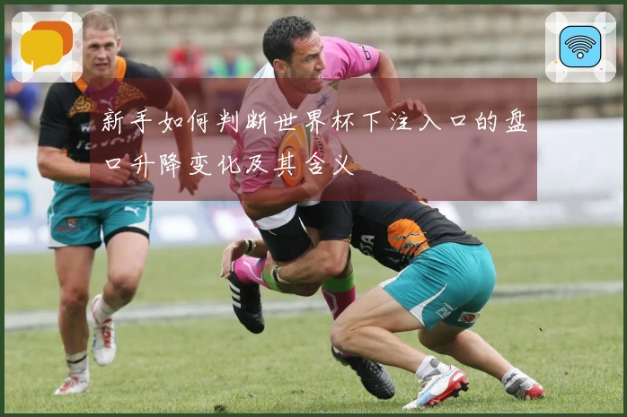 新手如何判断世界杯下注入口的盘口升降变化及其含义
