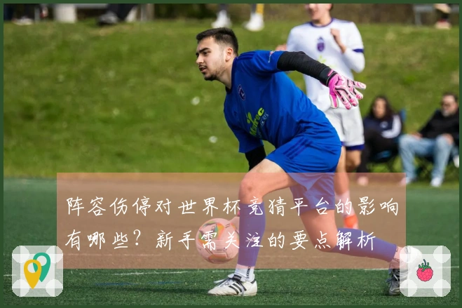 阵容伤停对世界杯竞猜平台的影响有哪些？新手需关注的要点解析