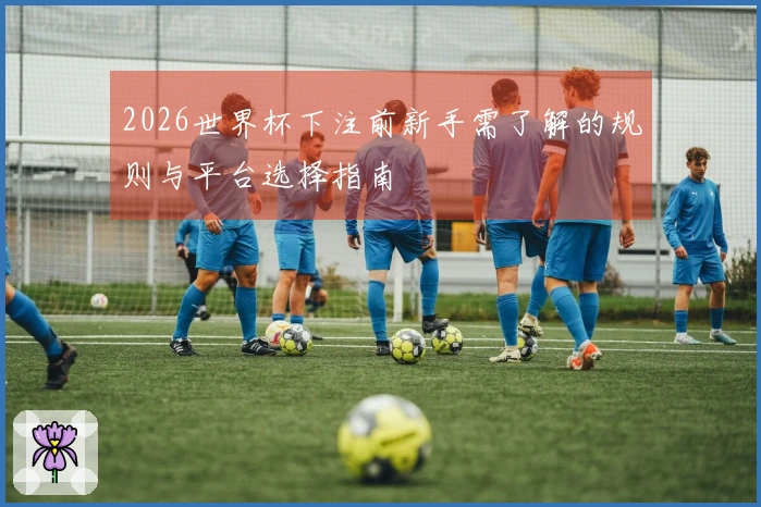2026世界杯下注前新手需了解的规则与平台选择指南