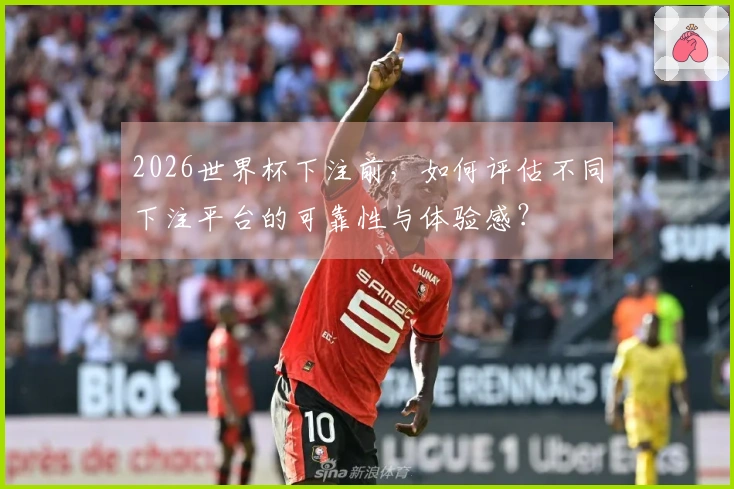 2026世界杯下注前，如何评估不同下注平台的可靠性与体验感？