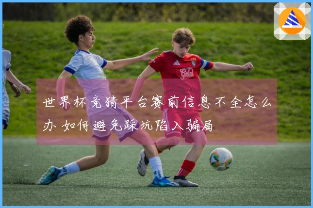 世界杯竞猜平台赛前信息不全怎么办 如何避免踩坑陷入骗局