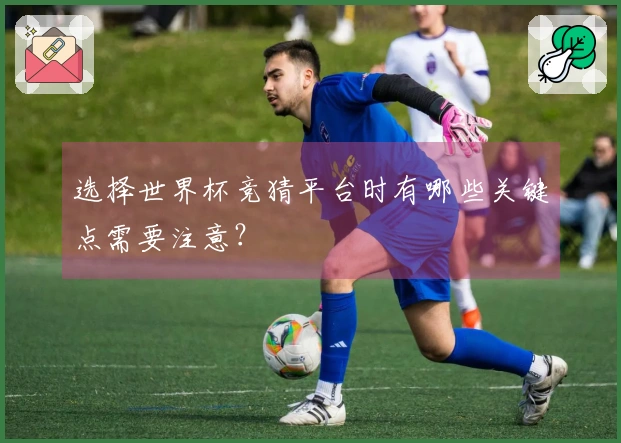 选择世界杯竞猜平台时有哪些关键点需要注意？