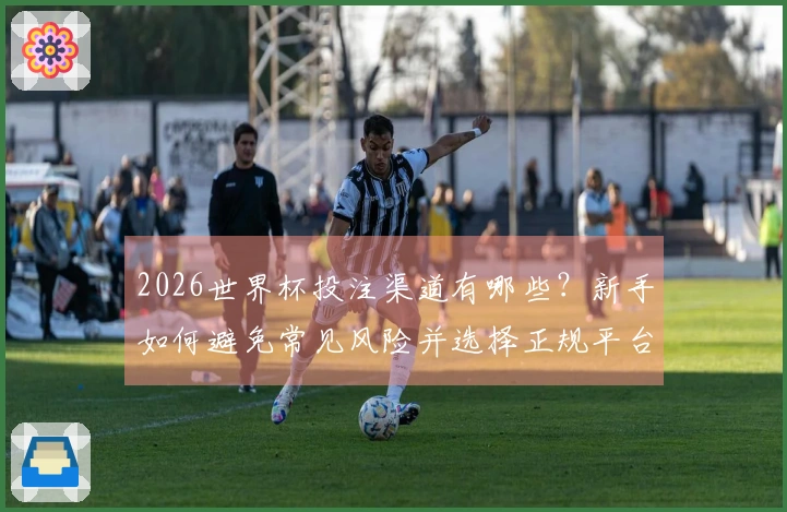 2026世界杯投注渠道有哪些？新手如何避免常见风险并选择正规平台