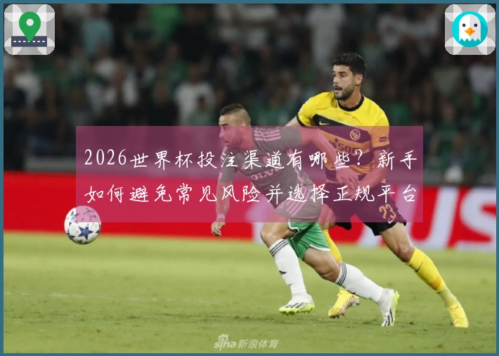 2026世界杯投注渠道有哪些？新手如何避免常见风险并选择正规平台
