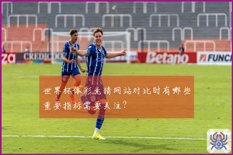 世界杯体彩竞猜网站对比时有哪些重要指标需要关注?