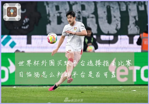 世界杯外围买球平台选择指南比赛日临场怎么判断平台是否可靠