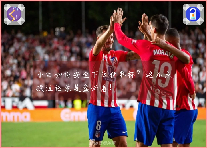 小白如何安全下注世界杯?这几点投注记录复盘必看!