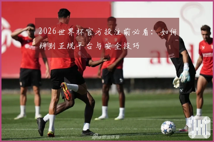 2026世界杯官方投注前必看：如何辨别正规平台与安全技巧