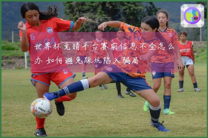 世界杯竞猜平台赛前信息不全怎么办 如何避免踩坑陷入骗局