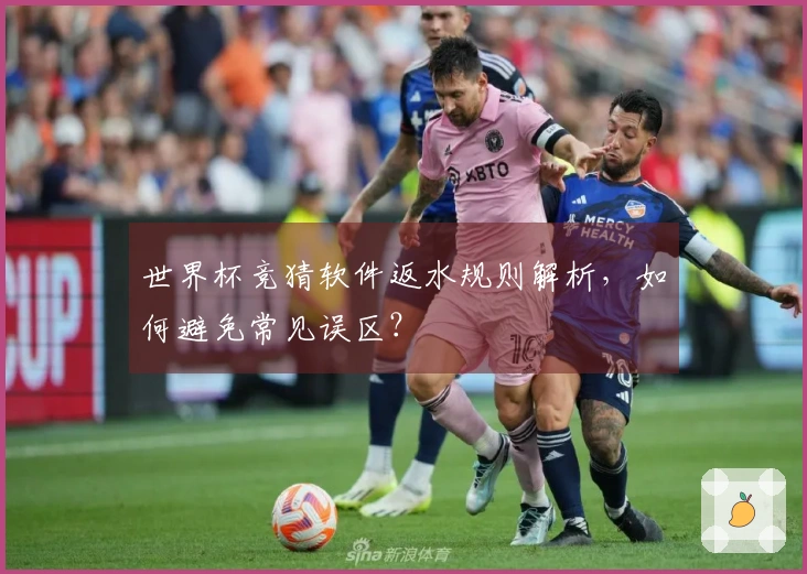 世界杯竞猜软件返水规则解析，如何避免常见误区？