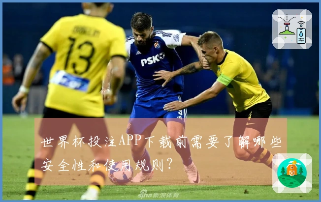 世界杯投注APP下载前需要了解哪些安全性和使用规则？
