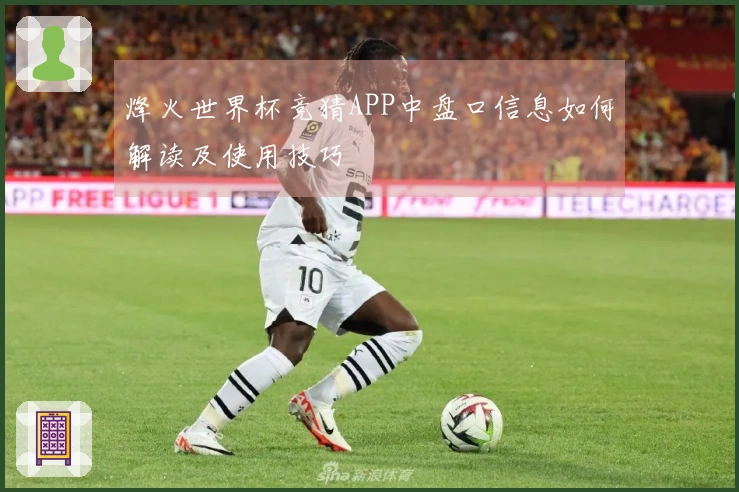 烽火世界杯竞猜APP中盘口信息如何解读及使用技巧