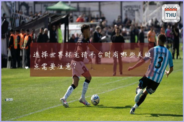 选择世界杯竞猜平台时有哪些关键点需要注意？
