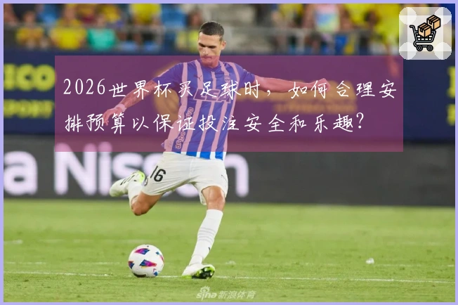 2026世界杯买足球时，如何合理安排预算以保证投注安全和乐趣？