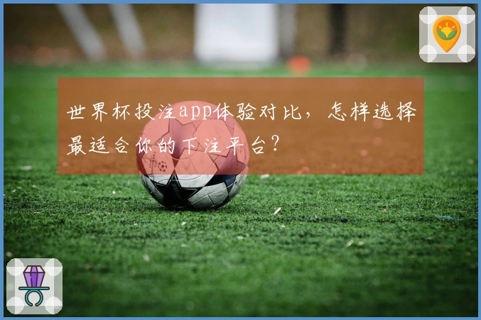 世界杯投注app体验对比，怎样选择最适合你的下注平台？