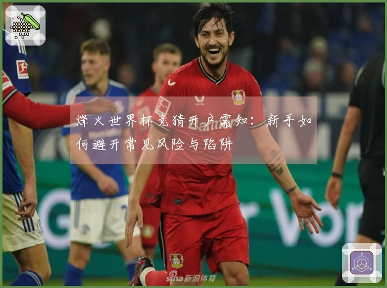 烽火世界杯竞猜开户需知：新手如何避开常见风险与陷阱