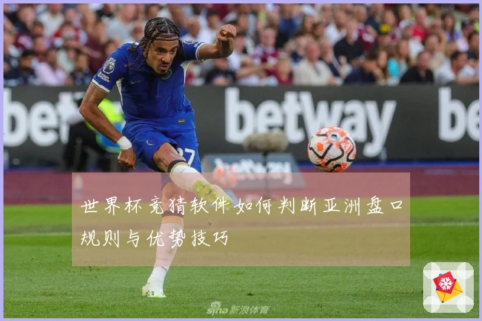 世界杯竞猜软件如何判断亚洲盘口规则与优势技巧