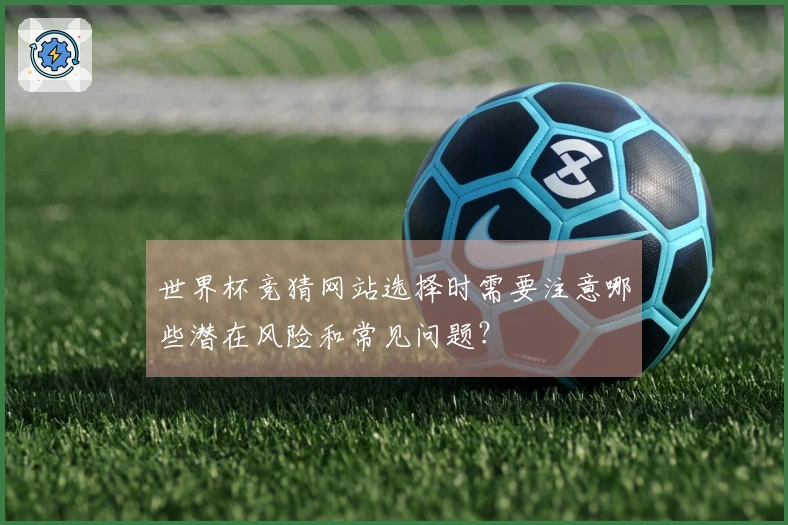 世界杯竞猜网站选择时需要注意哪些潜在风险和常见问题？