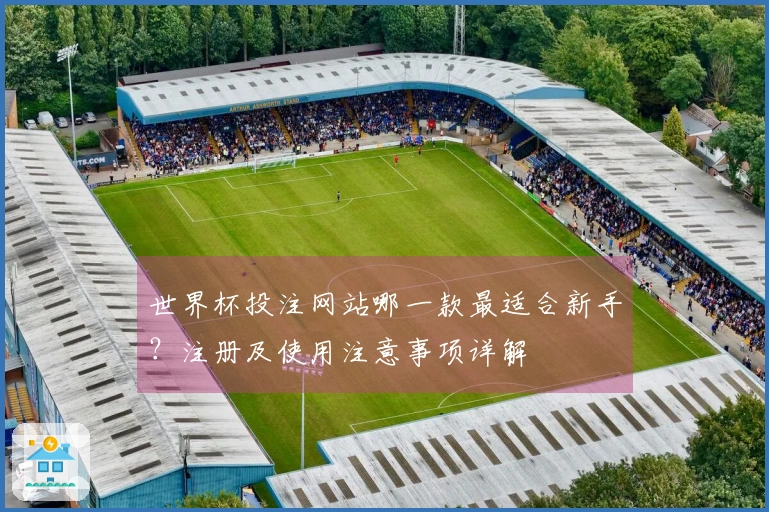 世界杯投注网站哪一款最适合新手？注册及使用注意事项详解