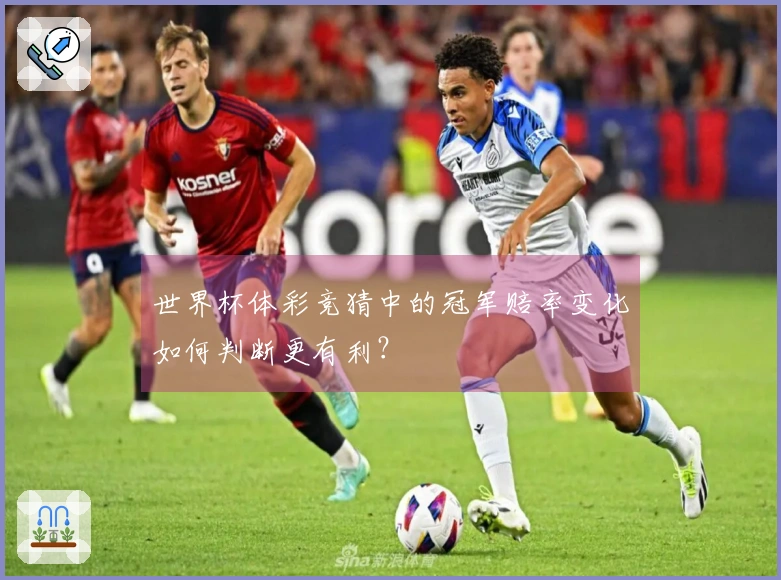 世界杯体彩竞猜中的冠军赔率变化如何判断更有利？