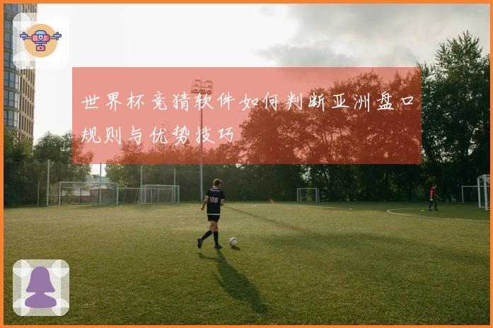 世界杯竞猜软件如何判断亚洲盘口规则与优势技巧