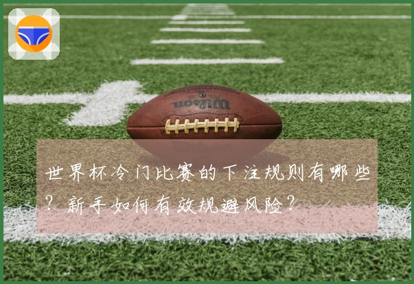 世界杯冷门比赛的下注规则有哪些？新手如何有效规避风险？
