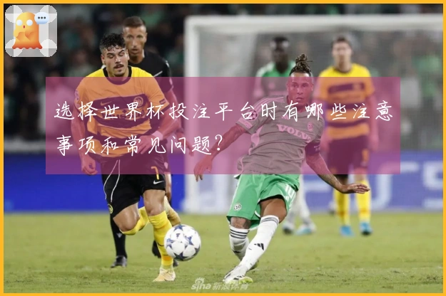 选择世界杯投注平台时有哪些注意事项和常见问题？